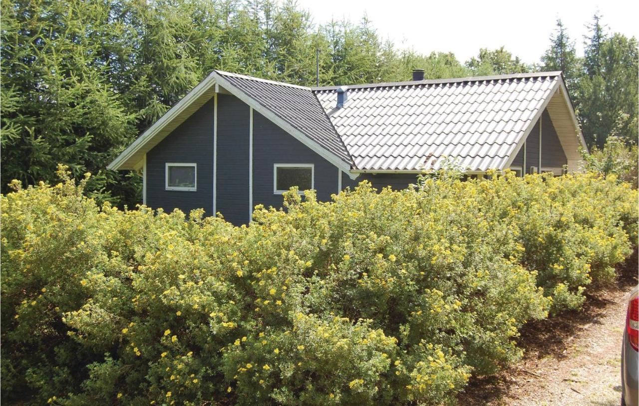 Pet Friendly Home In Oksbol With Wifi Exterior foto
